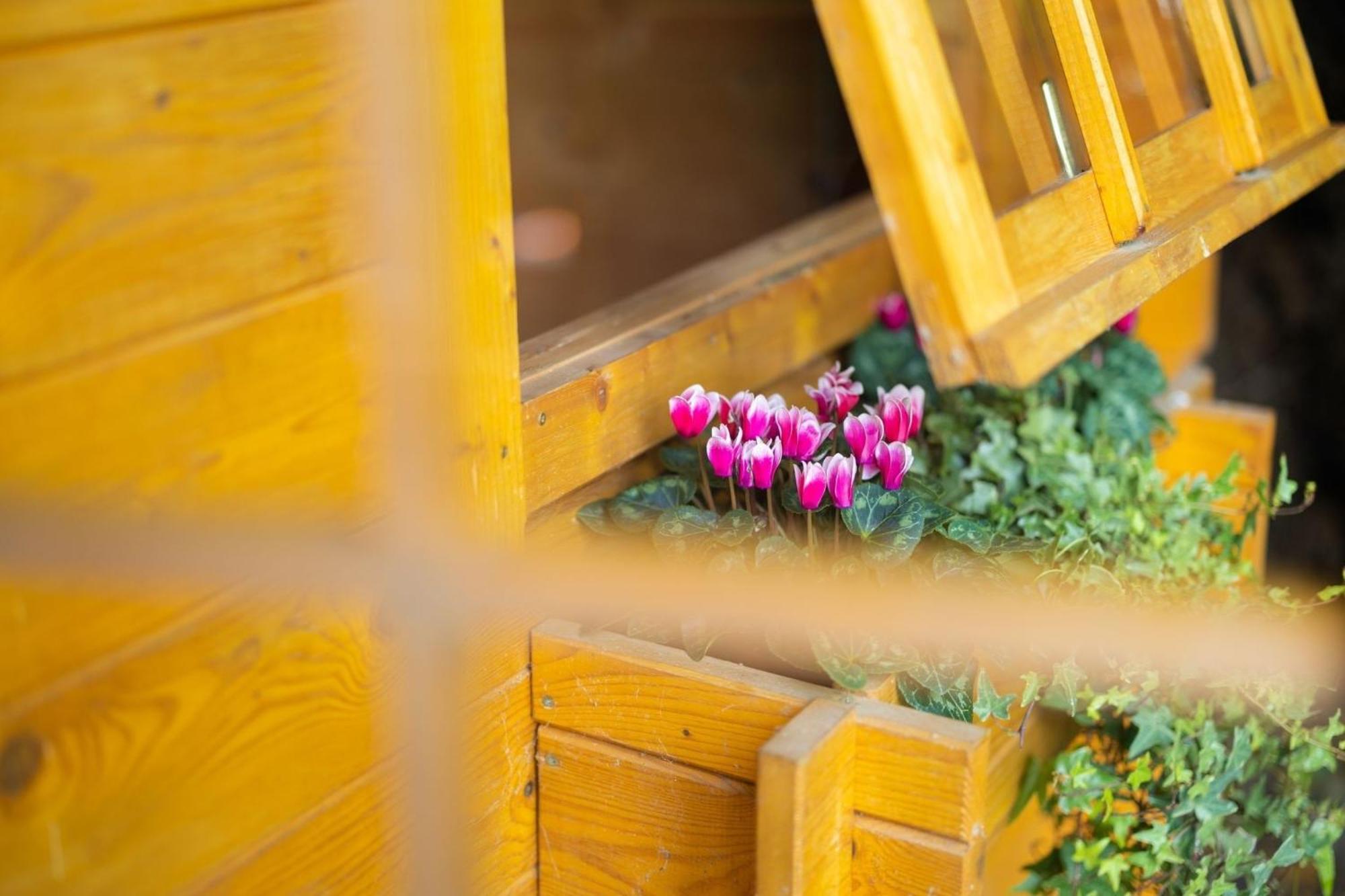 Gartenfewo Bad Wünnenberg Dış mekan fotoğraf